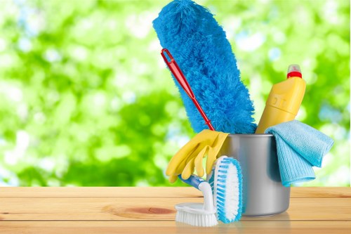Cleaning professional reviewing safety procedures with protective equipment