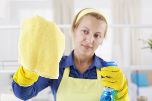 Professional home cleaners in Balham working in a modern living room