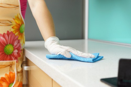 Professional carpets cleaning service in a Balham home