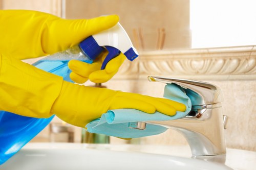 Recycling and item sorting during house clearance in Balham