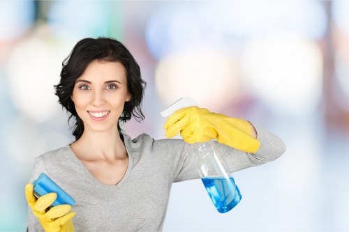 Detailed bathroom cleaning as part of one off cleaning in Balham