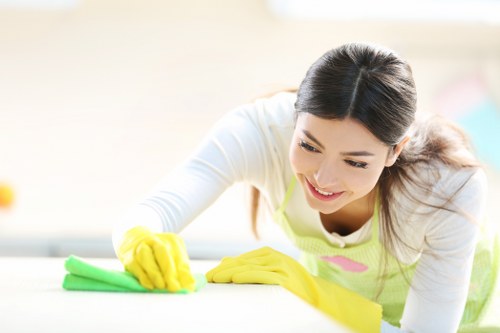 Cleaner dusting and refreshing a Balham living room during one off cleaning