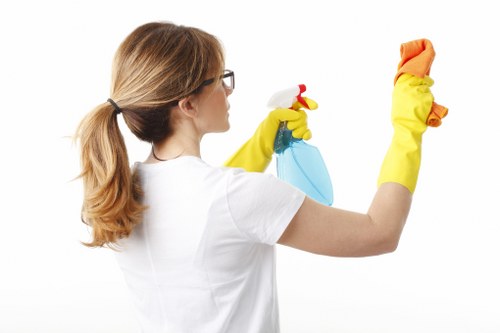 Specialist cleaning for a Balham office environment