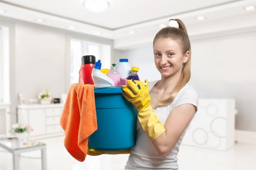 Deep cleaning a bathroom in a Balham home